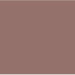 105Wildrose-stretchmesh-skirt-inner