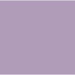 12Parme-stretchmesh-skirt