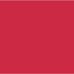 17Rojo-stretchmesh-skirt