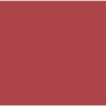 17Rojo-mattelycra-top